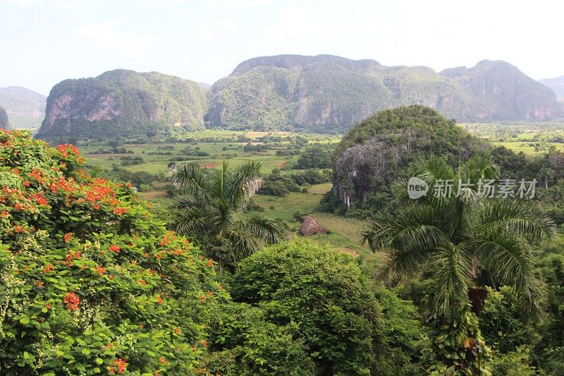 Cuba - Viñales Valley - landscape